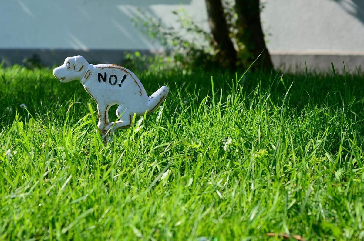 Professional Pet Waste Removal — On Your Schedule